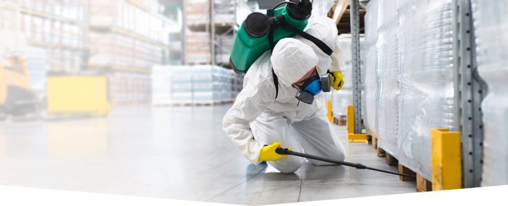 termite control services
